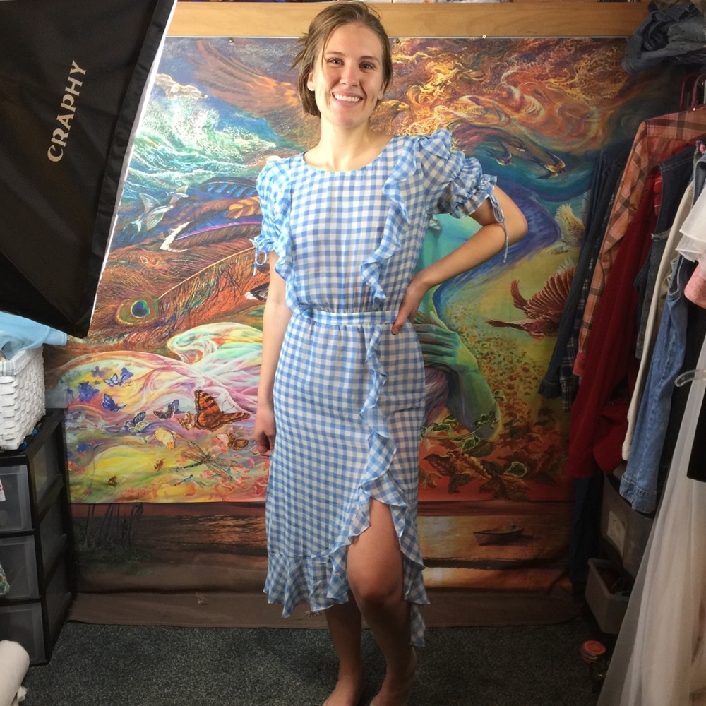 NWT For Love & Lemons Dress S